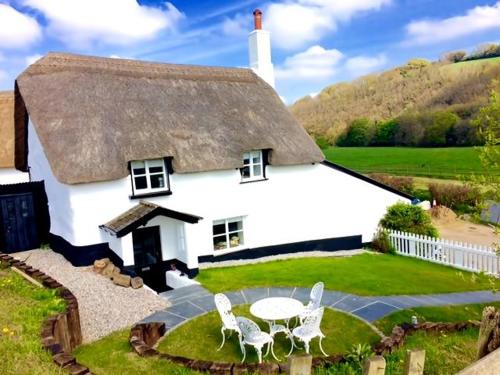 Cosy and unique Thatched Cottage on Dartmoor
