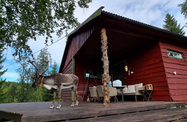 Cosy cabin nearby Bardufoss Airport and Senja w/Hottube.