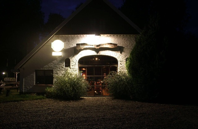 Cosy chalet with gas fireplace in Twente