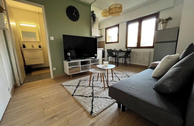 Cosy Rent Strasbourg appartement wifi, terrasse
