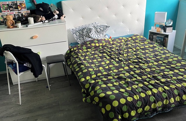 Cosy south-facing T2 apartment