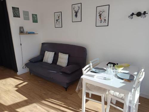 Cosy studio 25 m2 orienté sud entièrement rénové