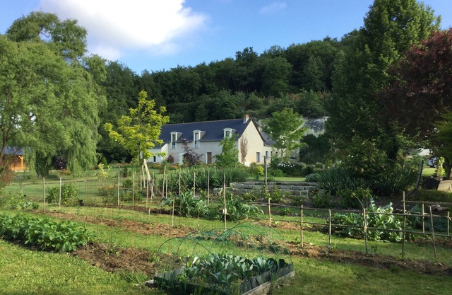 Cottage 3 people, 6km Loire, between Angers and Saumur, handicap accessibility, Calm.