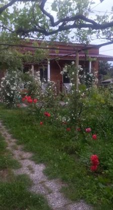 Cottage and Gigo Papa's Wine Cellar