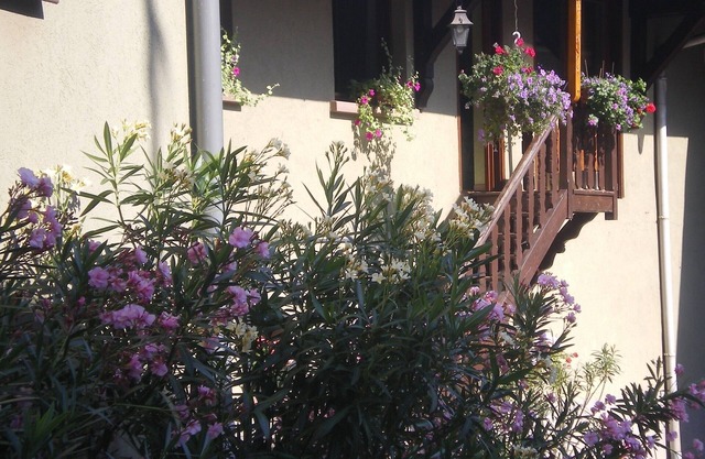 Cottage at the winemaker for 6 people