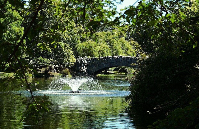 Cottage By The Beach/Dallas Road! Pet friendly