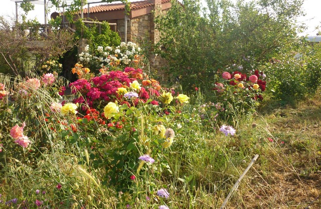 Cottage farmhouse.
