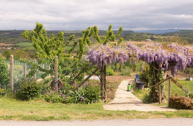 Cottage Les Figues 2