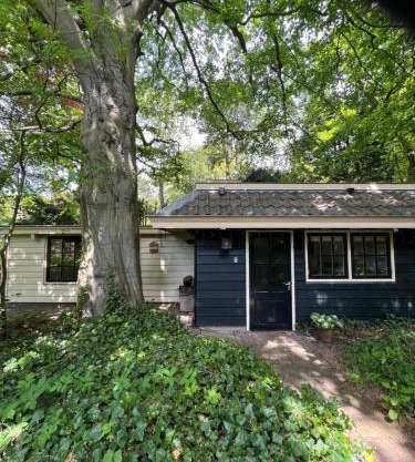 Cottage Het Beukenootje