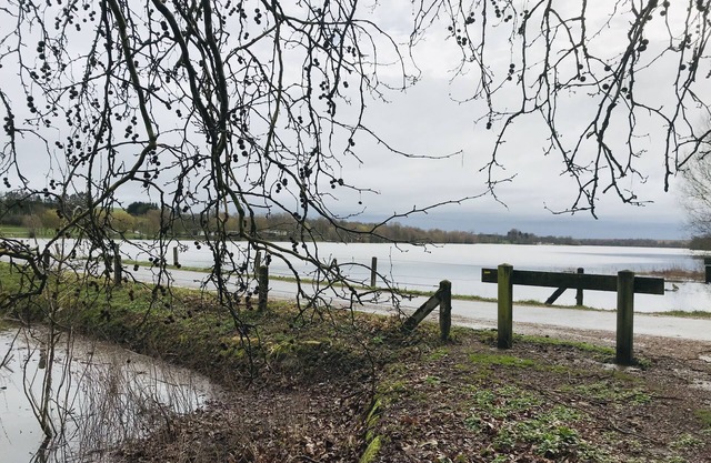Cottage in Ardennes Lake of Bairon- Swimming - Countryside-Hiking-fishing