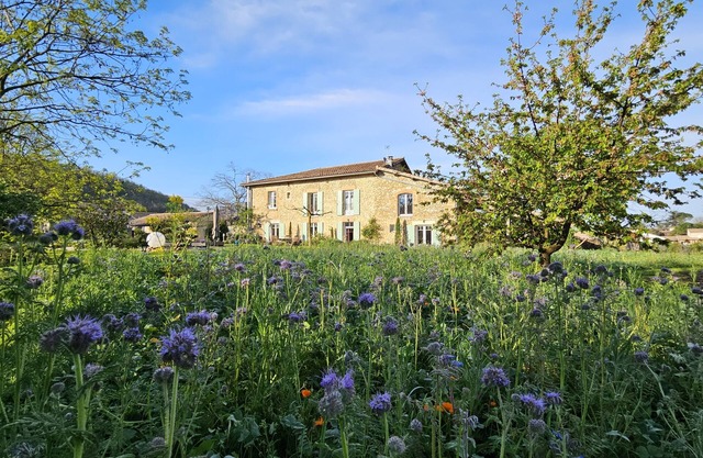 Cottage in the countryside