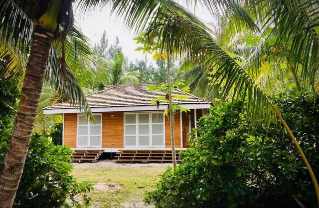 Cottage « the papaya tree »
