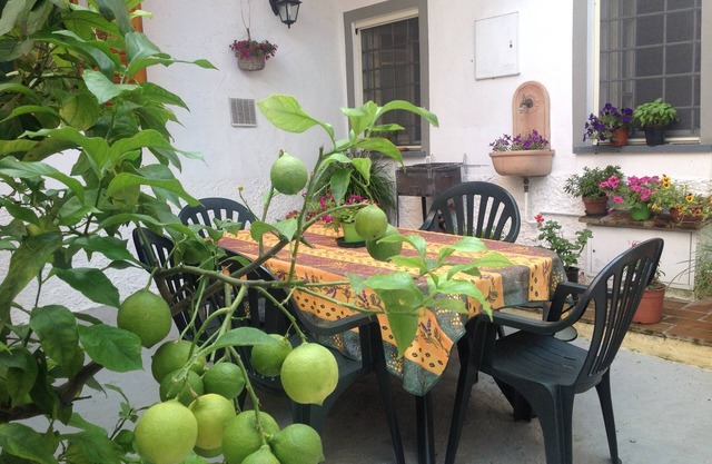 Country Cottage/Gite - Camaiore