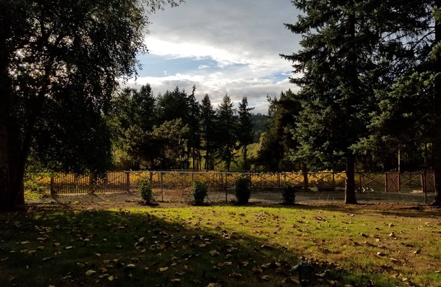 Country feel, w/all amenities, close to winery, restaurants, shops, & freeway!