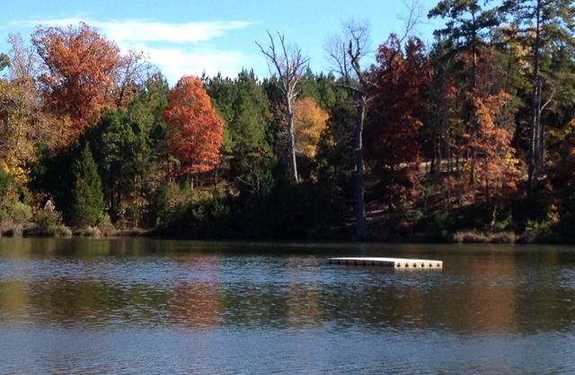 Country Get Away Cabin In The East Texas Piney Woods