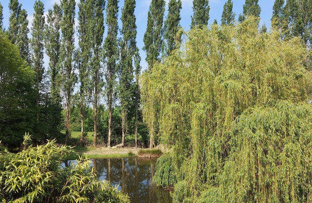 Country house with pond