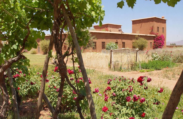 Country house 30 min away from Marrakesh, authentic preserved environment