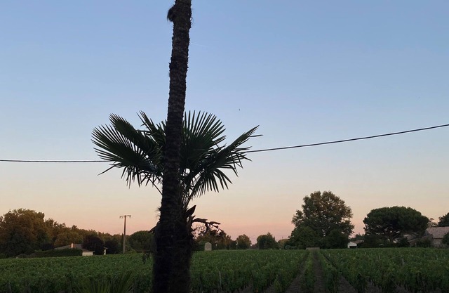 Country house in the heart of the Médoc vineyards with a spa!