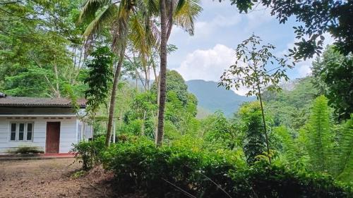 County House, Kithulgala