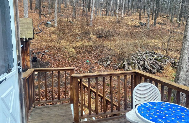 Cozy 1-bedroom apartment with AC, WiFi in charming Port Jervis