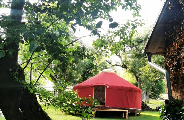Cozy 28 m² yurt with stargazing view, barbecue area, and separate bathroom