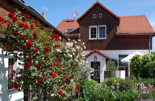 Cozy apartment in Dresden-Gohlis