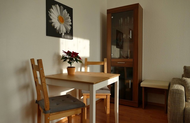 Cozy apartment near the bike path & center, Vis à Vis Schloss Übigau, incl. bikes