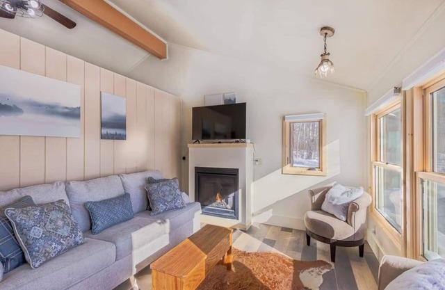 Cozy Bear Den - Sauna New kitchen Fireplace Large tv Wifi Indoor sauna