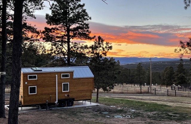 Cozy brand new tiny home! Amazing experience