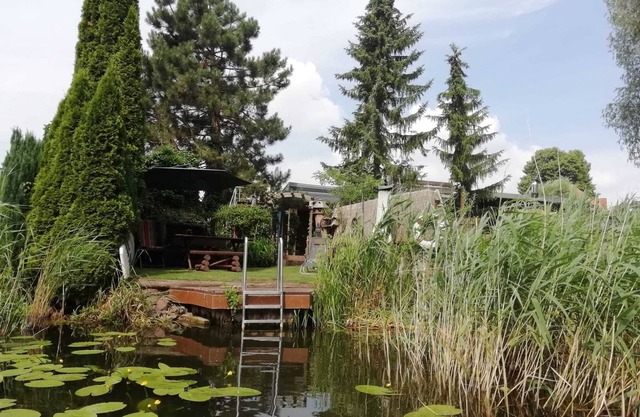 cozy bungalow with sauna and direct water access