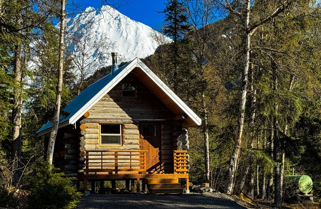 Cozy cabin centrally located in Moose Pass with WiFi