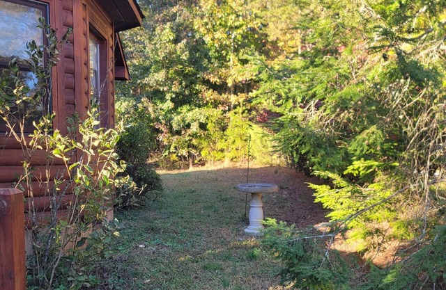 Cozy cabin in charming Columbus. Minutes from Equestrian Center, vineyards etc.