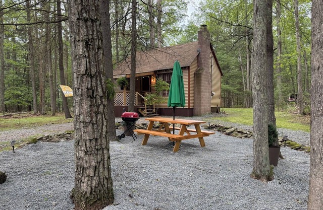 Cozy Cabin in the Woods - Near Lake Wallenpaupack