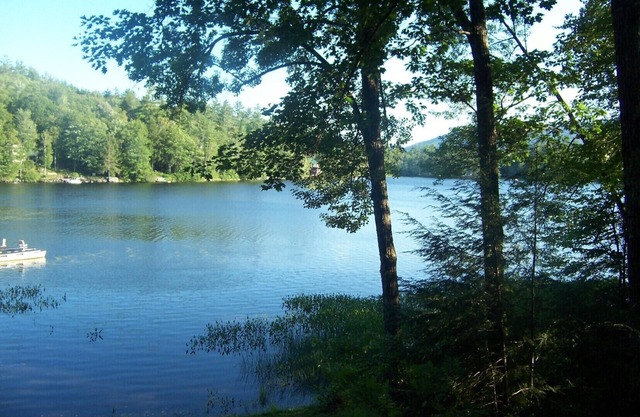 Cozy Cabin on Loon Lake