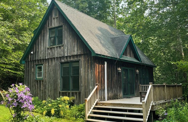 Cozy Catskills cabin with POOL outside Callicoon by the Delaware River