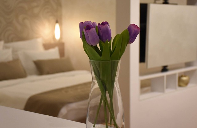 Cozy, clean, charming, new apartment in the city center of Belgrade