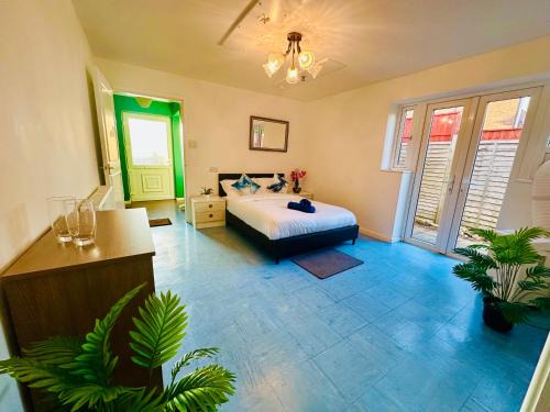 Cozy Comfort Suite