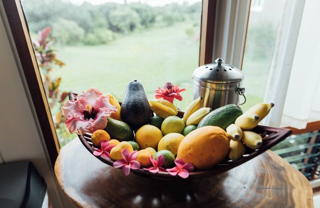 Cozy cottage nestled on our 5 acre Organic fruit farm