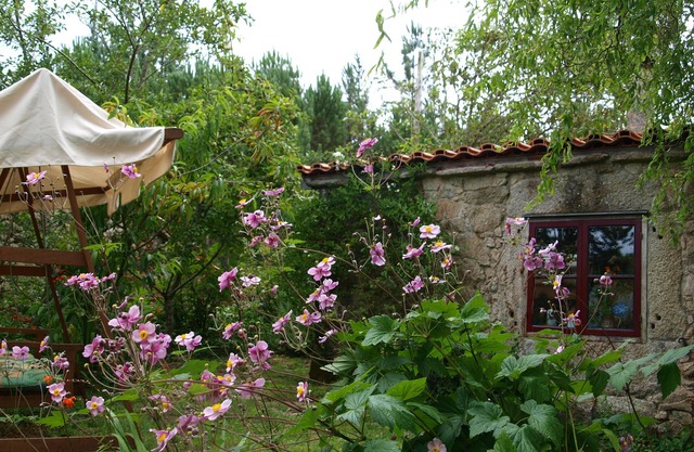 Cozy country house in the heart of the wildly rugged Costa da Morte