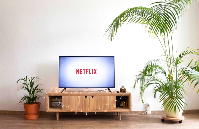 Cozy domicile above the rooftops of Jena with Netflix access