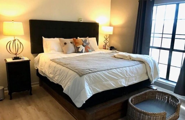Cozy Family & Dog 4 Bedroom, 2 Bathroom Home