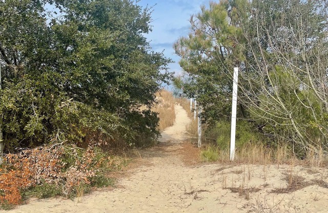 Cozy Frog on the Beach! 2-bedroom Efficiency w/Beach Access, WiFi, Smart TV