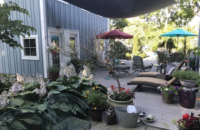 Cozy guest cottage located off historic Bellevue Ave walking distance everywhere