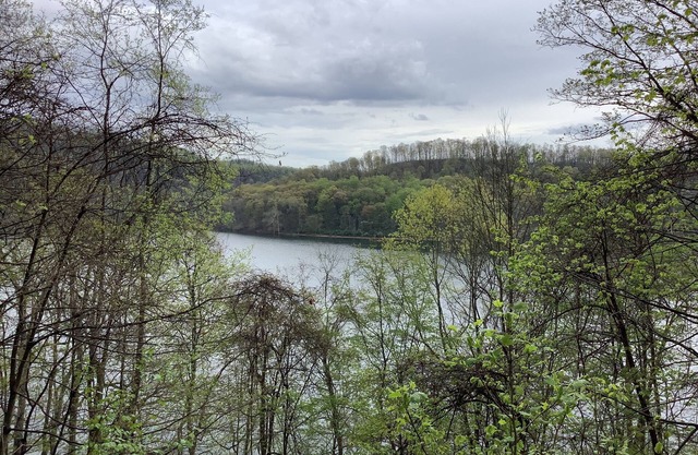 Cozy Lake View Cottag , Perfect for a Romantic Getaway! Laurel Highlands of Pa.
