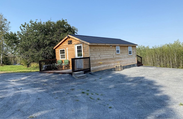 Cozy Little Cabin sleeps 4