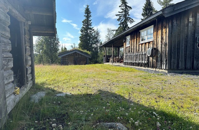 Cozy mountain cabin in Aurdal