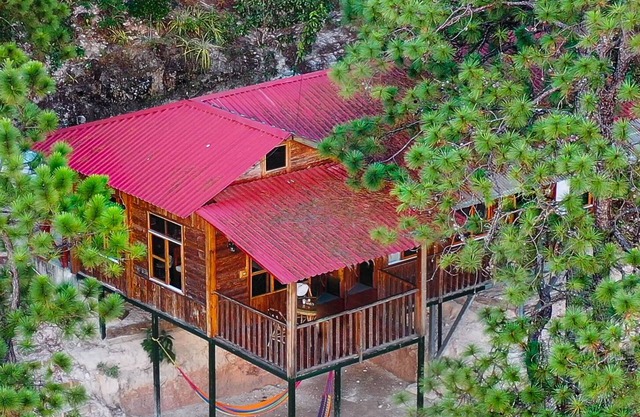 Cozy Mountain Cabin