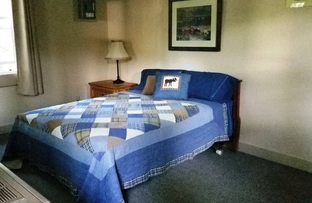 Cozy Pet Friendly 1 Bedroom Cabin on the water with 1 Boat Slip Included.