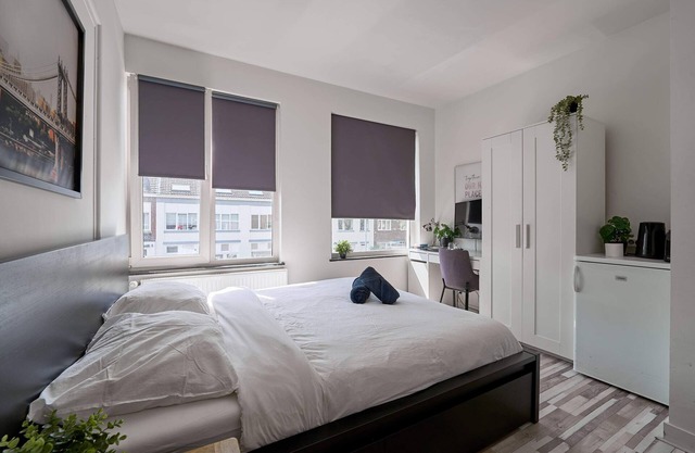 Cozy Room in Central Eindhoven