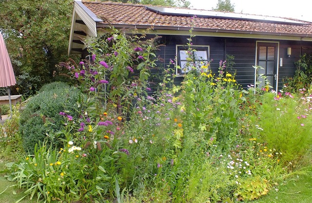 Cozy "Schwedenhaus" with a beautiful view, located on the water